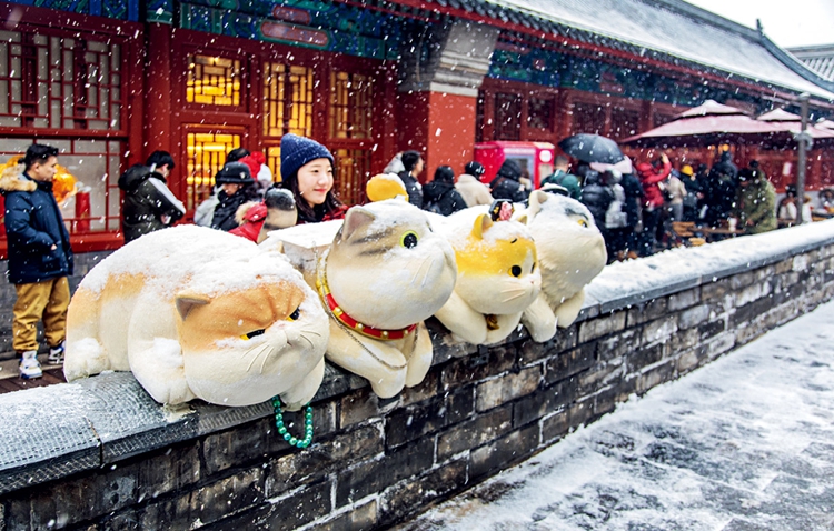 新时代文化力量瓦利棋牌汇聚